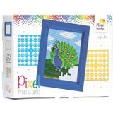 31252 Pixelhobby pakket - Pauw