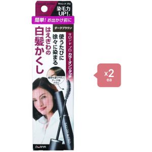 Dariya Salon De Pro - Color On Retouch Gray Hair Comb EX - 15ml - Dark Brown (2ea) Set