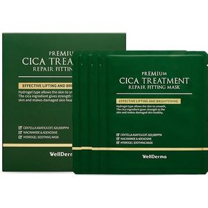WELLDERMA - Cica Treatment Repair Fitting Mask - 4stukken