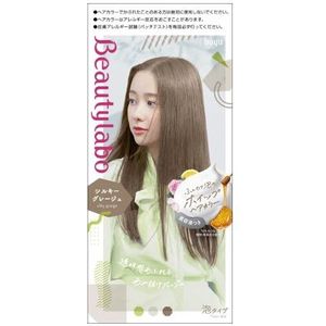 hoyu - Beautylabo Whip Hair Color - 125ml - Silky Greige