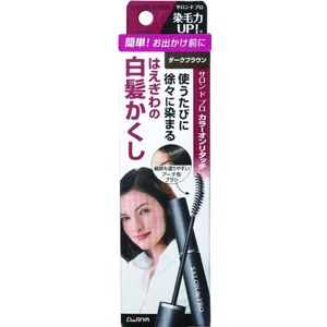 Dariya - Salon De Pro - Color On Retouch Gray Hair Comb EX - 15ml - Dark Brown