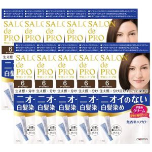 Dariya - Salon De Pro - Hair Color Cream - 6 Dark brown 10stukken set