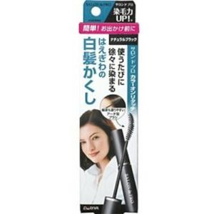 Dariya - Salon De Pro - Color On Retouch Gray Hair Comb EX - 15ml - Natural Black