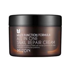 MIZON - All In One Snail Repair Cream - 120ml