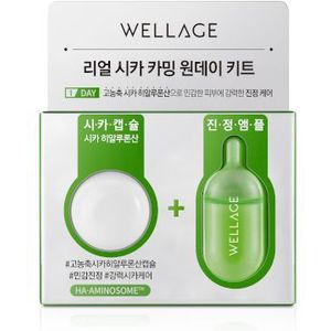 Wellage - Real Cica Calming One Day Kit - 1pc