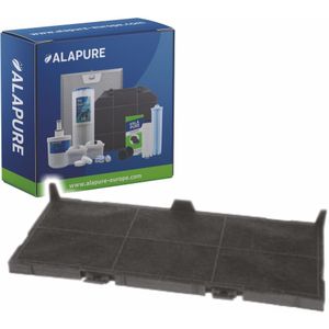 Koolstoffilter voor 11025806 / 11008216  / DSZ4561 / Z54TC02X0 / LZ45610