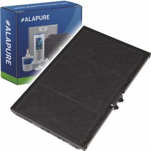 Koolstoffilter voor Viva 11008080 / 11025805 / VVZ42V00
