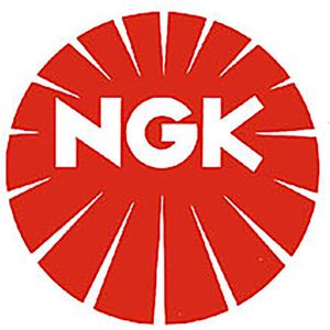 NGK Bougie CPR6EB-9