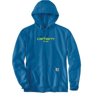 Carhartt Lightweight Logo Graphic Hoodie