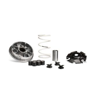 MALOSSI Multivar 2000 Variateur