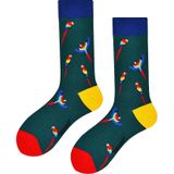 Benyson - Sokken - Groen - Papegaai - Organisch Katoen - 1 Paar