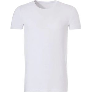 Twentini heren T-shirt korte mouw wit