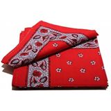 Boeren zakdoek rood Kleine Bloem 55 x 55 cm - HRBZ02