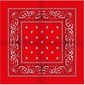 Boerenzakdoek Rain drop 54x54 - Rode zakdoek  - Wit