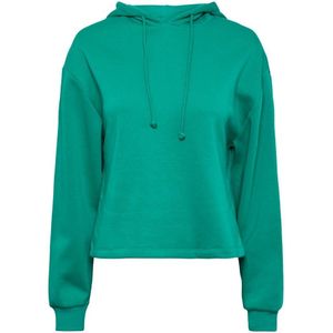 Pieces Hoodie - Loungewear Top - Chili Colours  - Groen