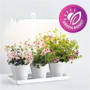 Mini  binnentuin / kweekset /moestuin met LED groeilamp 20 Watt | BLOOM