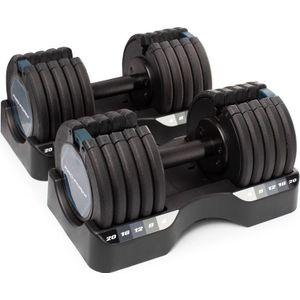 Verstelbare dumbbells Proform 4-20 kg (paar)