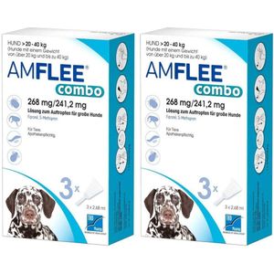 Amflee® combo 268 mg/241,2 mg für große Hunde Doppelpack 2x3 St Lösung