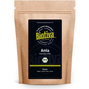 Biotiva Amla Pulver Bio 500 g