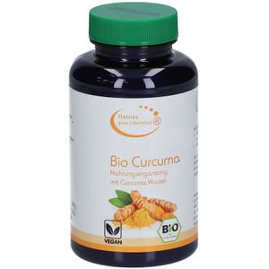 Curcuma Pulver Bio 100 g