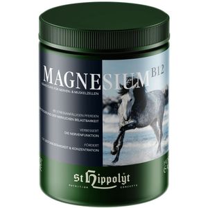 St. Hippolyt Magnesium B12 1 kg