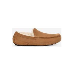 UGG® Ascot-pantoffel voor heren  in Brown, Maat 42, Leder