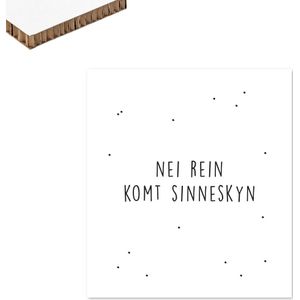 Krúskes Re-board Interieur kaart  - Nei rein komt sinneskyn