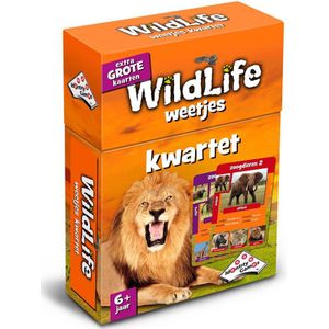Identity Games Wildlife Weetjes Kwartet - Leerzaam en leuk spel voor 2-4 spelers vanaf 6 jaar