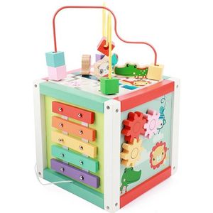 Fisher Price Activiteiten Kubus Hout