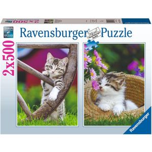 Puzzel Ravensburger Poezen (2x500 Stukjes)