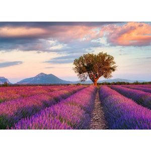 Puzzel Lavendel Velden (1000 Stukjes, Landschappen)