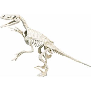 Clementoni Archeospel Velociraptor - Geschikt voor kinderen vanaf 7 jaar - Met hamer en beitel - Glow in the dark