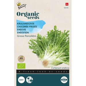Buzzy ® Bio Krulandijvie Grosse Pancalière