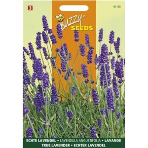 Buzzy ® Lavendel