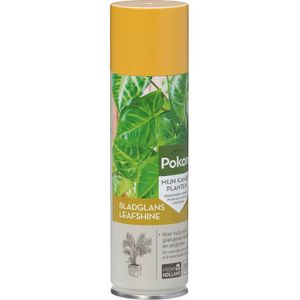 Pokon Bladglans  250 ml