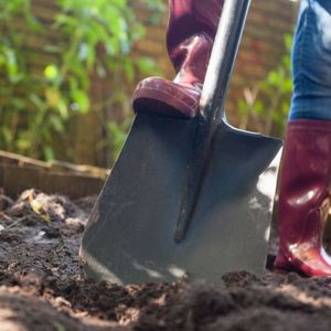 Bomen aanplantservice S