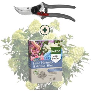 Hortensia onderhoudspakket