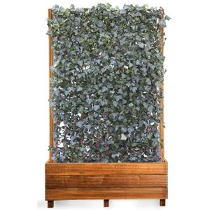 Hardhouten bak met hoge haag-120 x 180 cm - Hedera helix 'Woerner'