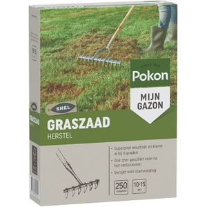 Pokon Graszaad Herstel SOS  500 gram