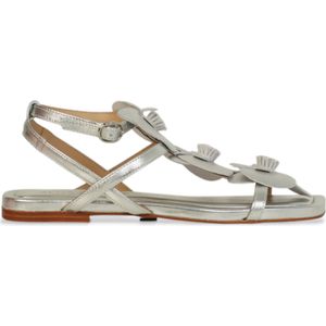 Alma en penavoor vrouwen. V251971 Zilveren Diva Leren Sandalen (36), Leer, Plat, Gesp, Casual