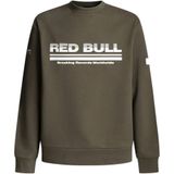 Red Bull Racing - RM580020 - Sweater - Groen - Ronde Hals - Casual - Katoen