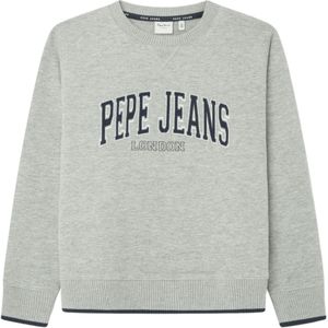 Pepe Jeansvoor jongens. PB581623 Sweater Bain Crew grijs (8años= 128cm), Casual, Biologisch katoen, Duurzaam, kinderkleding