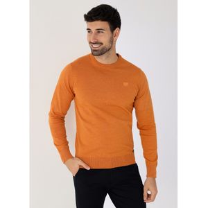 Bendorffvoor mannen. 870205164 Mosterd basistrui met boxkraag (S), Casual, Katoen, Lange mouwen