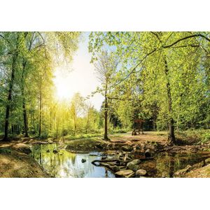Fotobehang - Bos - Vliesbehang - Groene Bomen Landschap