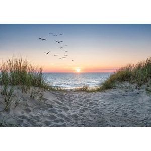Fotobehang - Strand, Duinen en Zee bij Zonsondergang