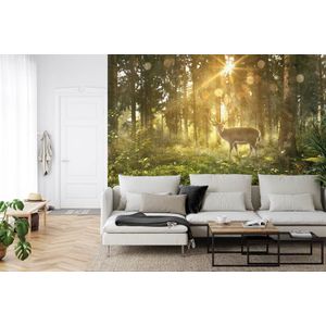 Fotobehang Bos Herten 352 x 250 cm - Vliesbehang Woonkamer