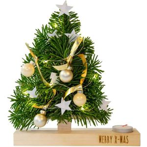 Brievenbus mini kerstboompje-Brievenbuspakket