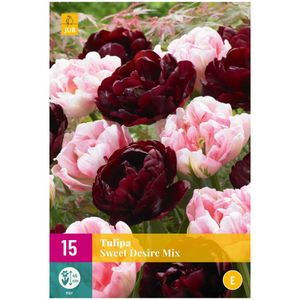 Tulpenbollen Sweet Desire Mix (XXL zak 15 stuks)