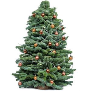 Echte kerstboom mini (incl. versiering)-Goud
