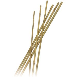 Bamboestokken  60 cm - Ø 6-8 mm - 10 stuks